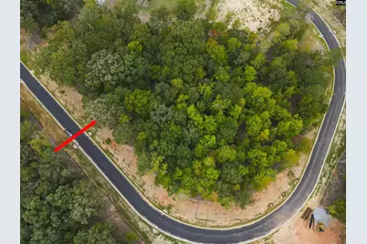 1068 Refuge Pl #45, Chapin, SC 29036 - Photo 12