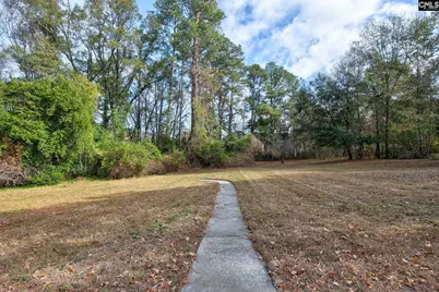 206 Georgia Lane, Lexington, SC 29072 - Photo 36