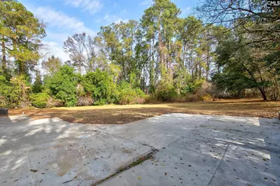 206 Georgia Lane, Lexington, SC 29072 - Photo 40