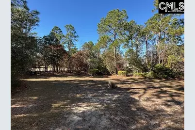 33 Valkyrie Circle, Columbia, SC 29229 - Photo 56