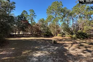 33 Valkyrie Cir, Columbia, SC 29229 - Photo 56