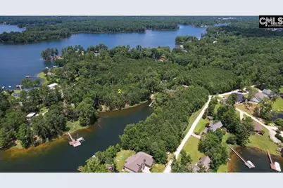 Lot 2 St.Thomas Church Road, Chapin, SC 29036 - Photo 4
