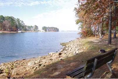 1331 Camping Road, Gilbert, SC 29054 - Photo 38