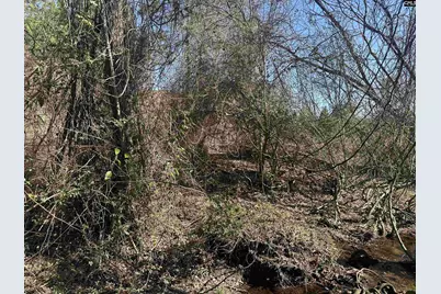 97 Charmont Drive, Columbia, SC 29223 - Photo 10