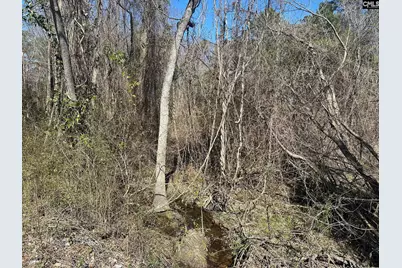 97 Charmont Drive, Columbia, SC 29223 - Photo 8