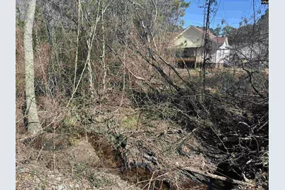 97 Charmont Drive, Columbia, SC 29223 - Photo 6