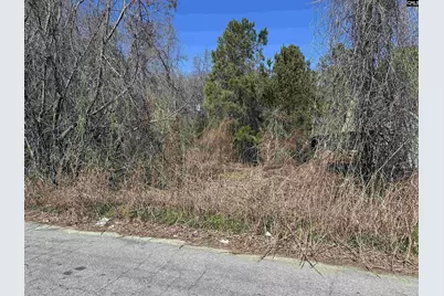 97 Charmont Drive, Columbia, SC 29223 - Photo 4