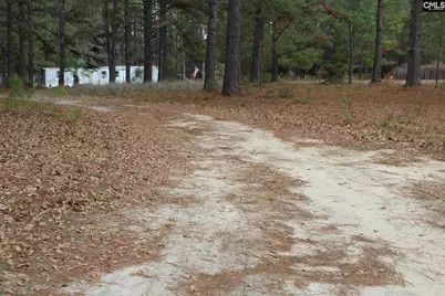 220 Ivory Street, Cope, SC 29038 - Photo 2