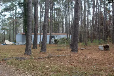 220 Ivory Street, Cope, SC 29038 - Photo 8