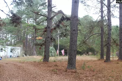 220 Ivory Street, Cope, SC 29038 - Photo 6