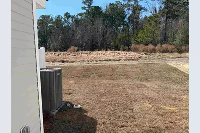 163 Carr Lane, Columbia, SC 29223 - Photo 8