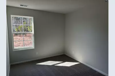 163 Carr Lane, Columbia, SC 29223 - Photo 12