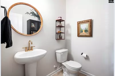 805 Scarlet Leaf Lane, West Columbia, SC 29169 - Photo 6