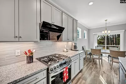 222 Falling Leaves Lane, Blythewood, SC 29016 - Photo 20