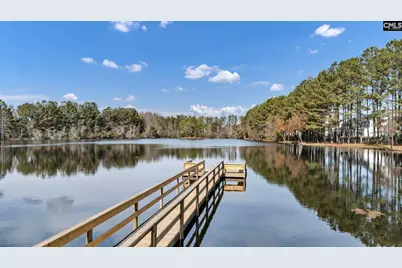 222 Falling Leaves Lane, Blythewood, SC 29016 - Photo 60