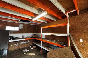 285 Doe Trail Dr, Lexington, SC 29073 - Photo 52