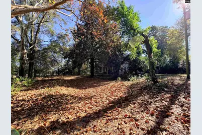 1409 Fairview Road, Pelion, SC 29123 - Photo 46