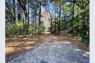 1409 Fairview Road, Pelion, SC 29123 - Photo 44