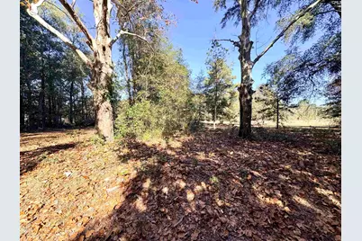 1409 Fairview Road, Pelion, SC 29123 - Photo 50