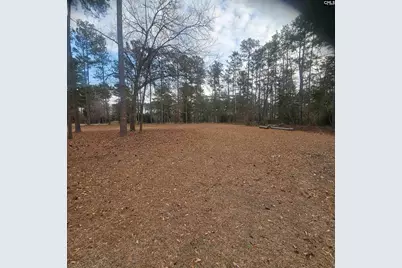 133 Tam O Shanter Drive, Blythewood, SC 29016 - Photo 80