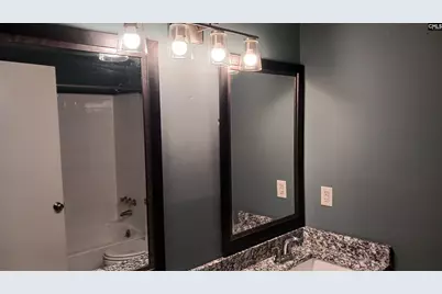 133 Tam O Shanter Drive, Blythewood, SC 29016 - Photo 44