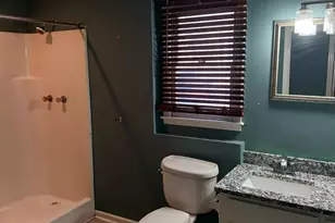 133 Tam-O-Shanter Dr, Blythewood, SC 29016 - Photo 64