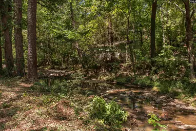 204 Cannon Dale Road, Columbia, SC 29212 - Photo 6