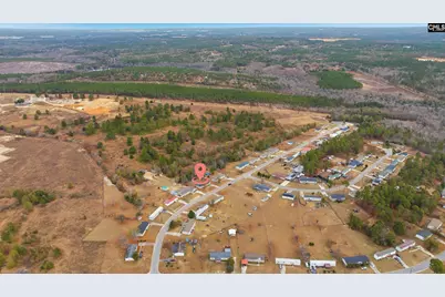 233 Peeler Road, Gaston, SC 29053 - Photo 10