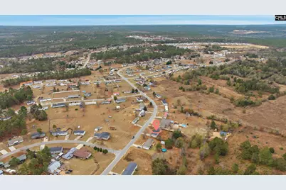 233 Peeler Road, Gaston, SC 29053 - Photo 12