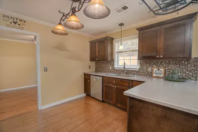 171 Elm Creek Drive, Chapin, SC 29036 - Photo 6