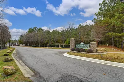 116 Chesterton Drive, Lexington, SC 29072 - Photo 52