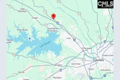 420 Crawley Lane, Chapin, SC 29036 - Photo 2