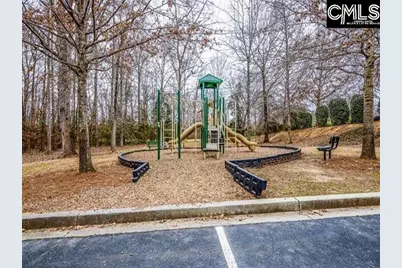 420 Crawley Lane, Chapin, SC 29036 - Photo 38