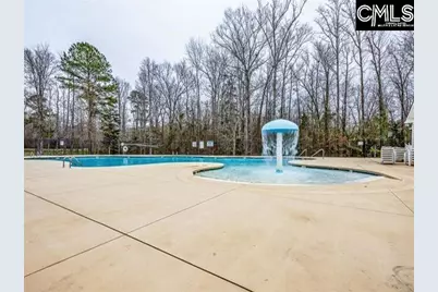 420 Crawley Lane, Chapin, SC 29036 - Photo 36