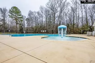 420 Crawley Ln, Chapin, SC 29036 - Photo 36