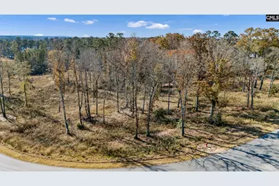 0 Woodside Shores Drive #Lot 12, Prosperity, SC 29127 - Photo 2