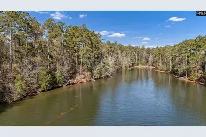 0 Lands End Lane #Lot 209, Prosperity, SC 29127 - Photo 4