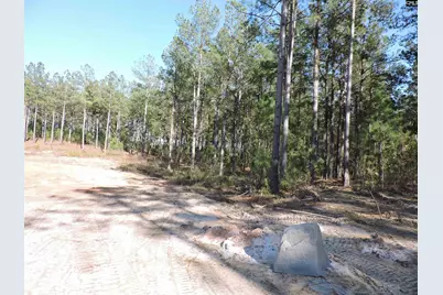 818 White Pond Road, Williston, SC 29853 - Photo 6