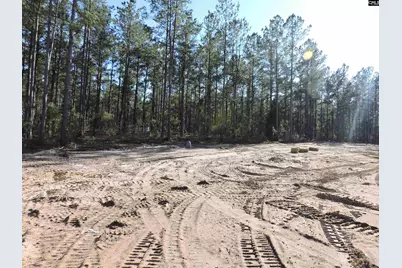 818 White Pond Road, Williston, SC 29853 - Photo 8