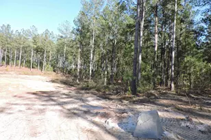 818 White Pond Rd, Williston, SC 29853 - Photo 4