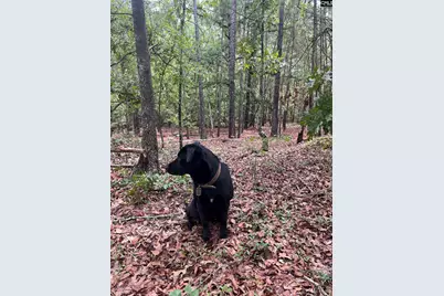 Bhl 8 Boise Cascade Road Bhl 8, Bethune, SC 29009 - Photo 12