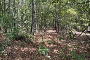 Bhl 8 Boise Cascade Road Bhl 8, Bethune, SC 29009 - Photo 6