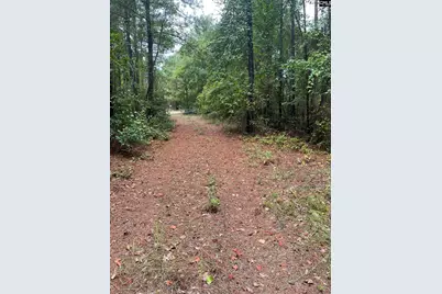 Bhl 8 Boise Cascade Road Bhl 8, Bethune, SC 29009 - Photo 8