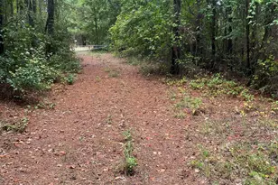 Bhl 8 Boise Cascade Road Bhl 8, Bethune, SC 29009 - Photo 8