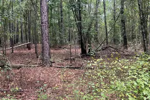 Bhl 8 Boise Cascade Road Bhl 8, Bethune, SC 29009 - Photo 4