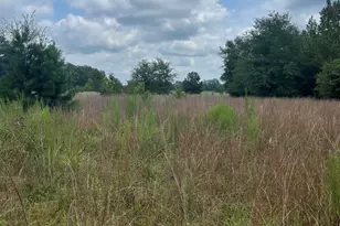 Bhl 8 Boise Cascade Road Bhl 8, Bethune, SC 29009 - Photo 18