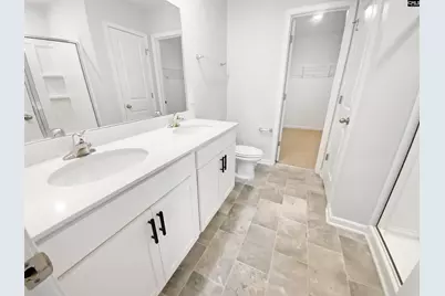 414 Pine Log Run, Chapin, SC 29036 - Photo 6