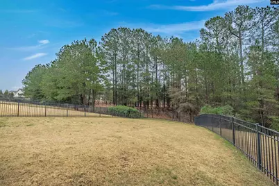 679 Scarlet Baby Drive, Blythewood, SC 29016 - Photo 42