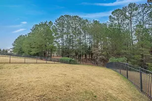 679 Scarlet Baby Dr, Blythewood, SC 29016 - Photo 42