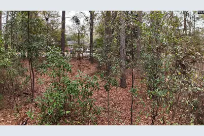 1319 Lakeshore Drive, Camden, SC 29020 - Photo 1